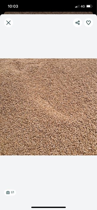 Grau de vanzare productie 2025