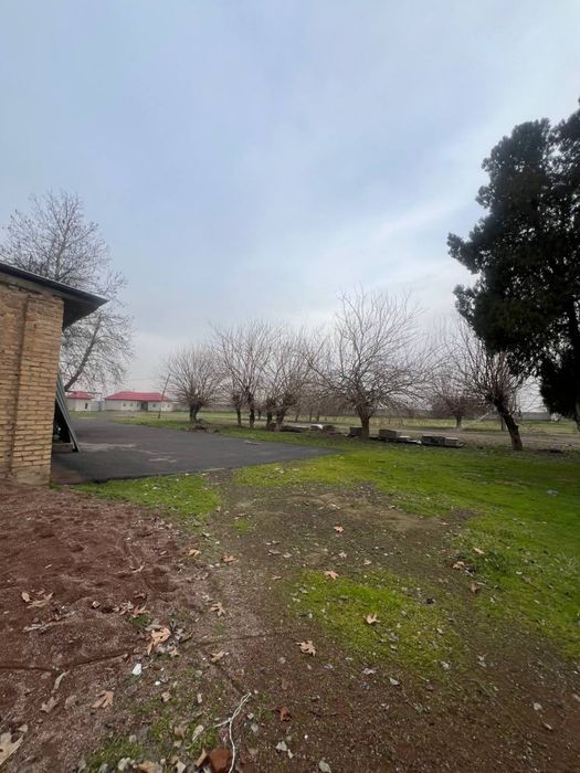 Аренда помещения 2000 квм, земля 4,4 га в 7-8 км от FOOD CITY.