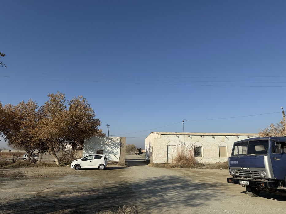 Кушкупир тумани шовот ёлда жой урни сотилади