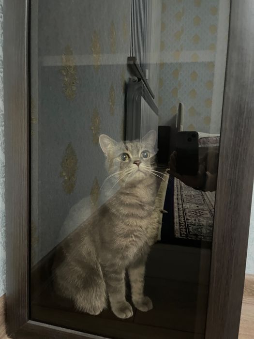 Полка