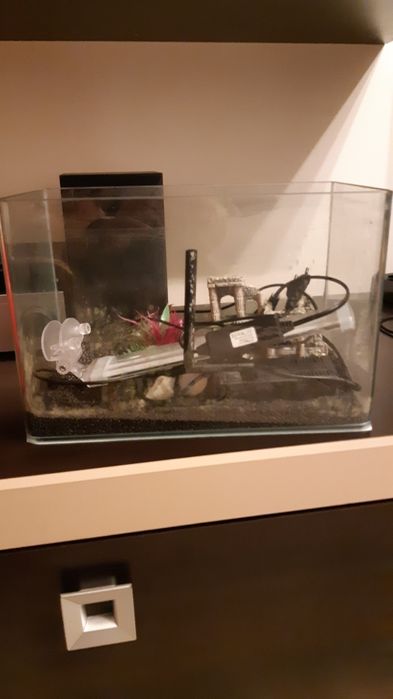 Vând acvariu 20 l