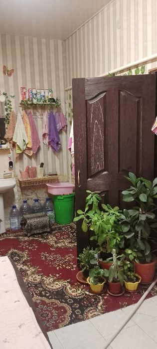 Keles novoiyda uchaska sotiladi