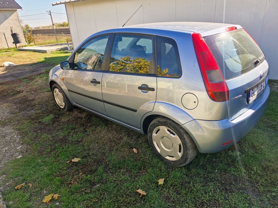 Vand Ford Fiesta