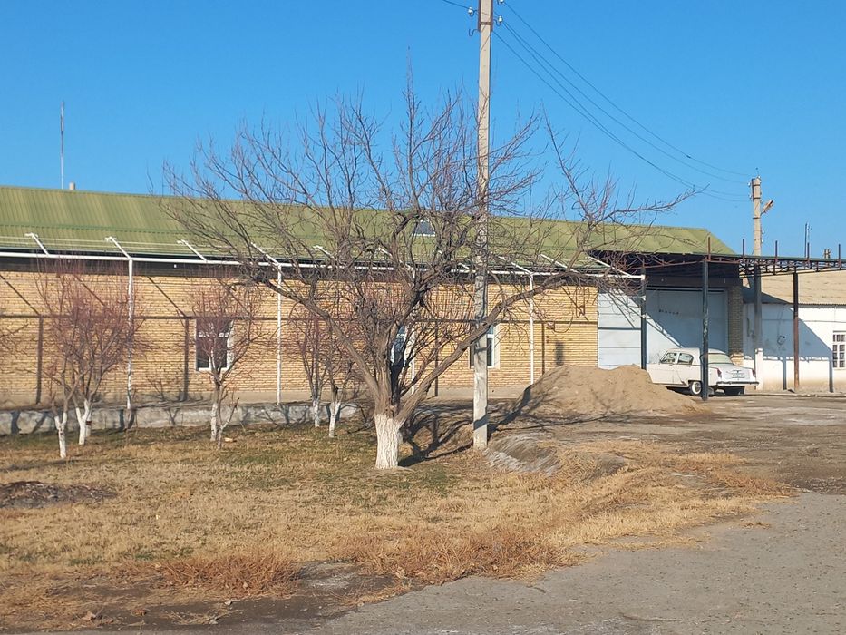 Tadbirkorlik bilan shugulanish uchun (chorvachili, issiqxona)