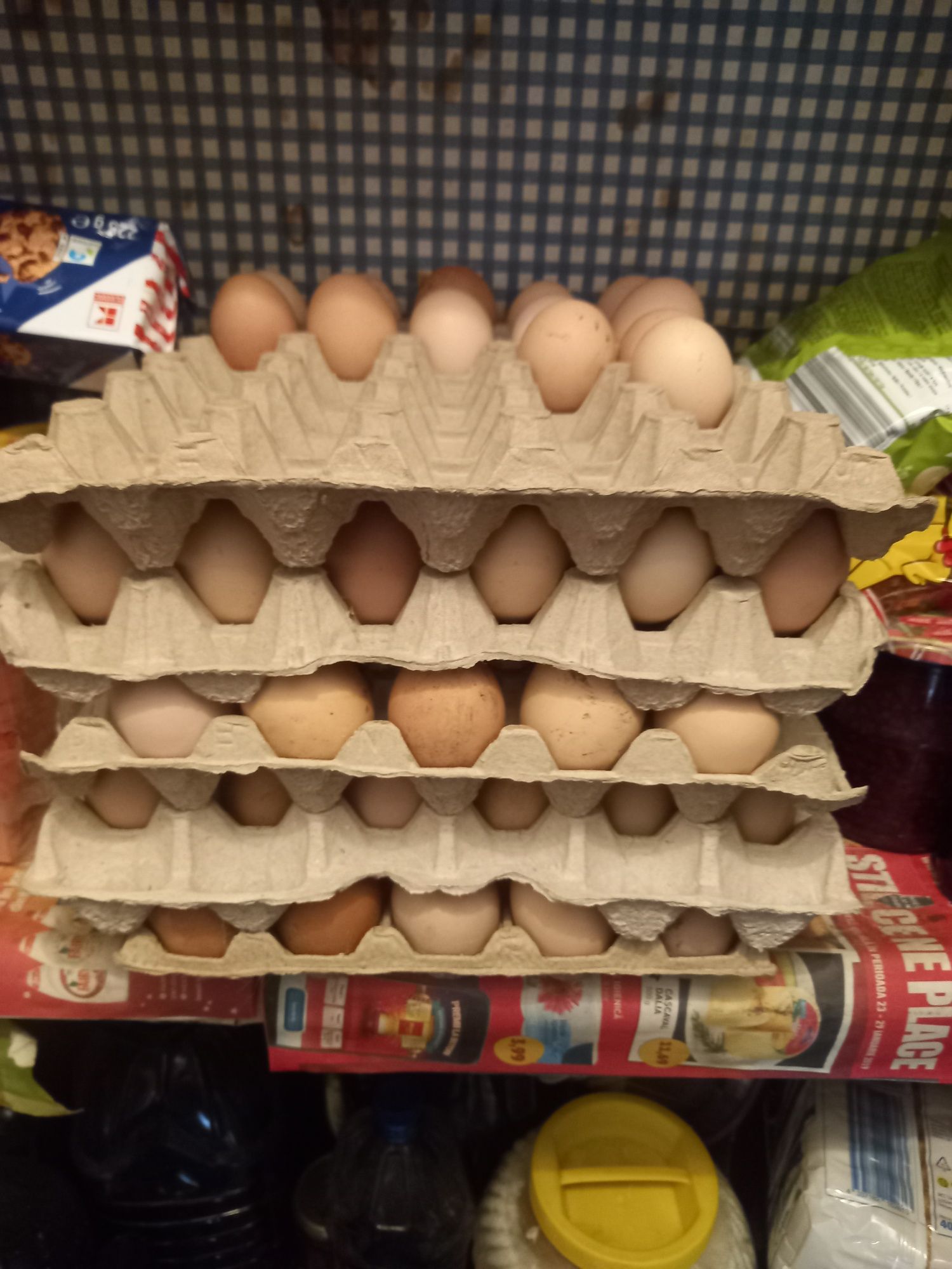 Vind ouă proaspete de casă,ținute cu furaje
