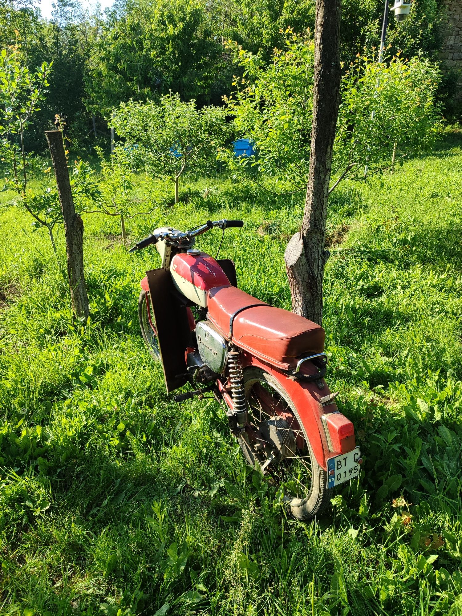 Балкан 50 Балканче