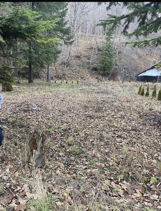 Vand teren Predeal cu deschidere catre DN