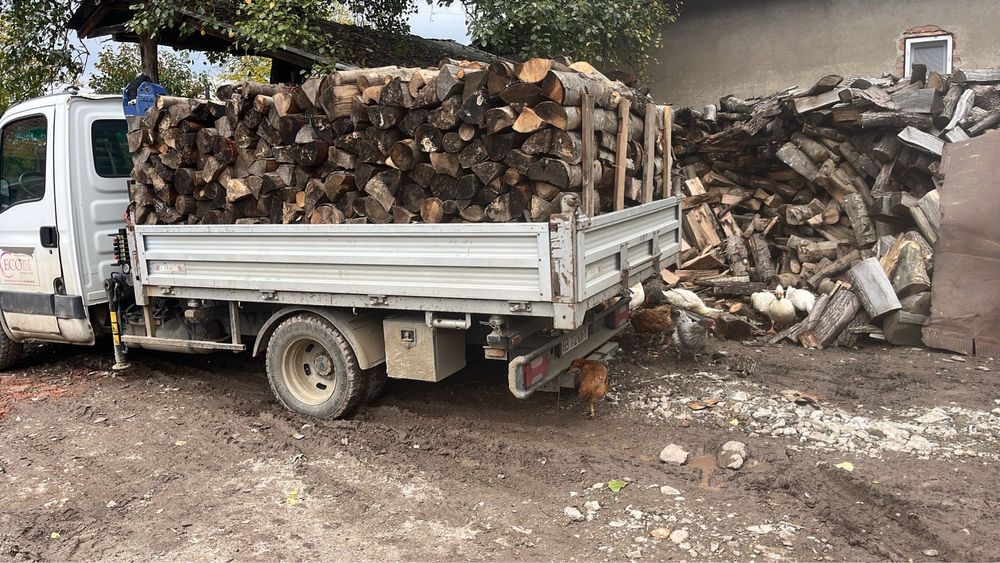 Lemne de foc ! Fag si stejar