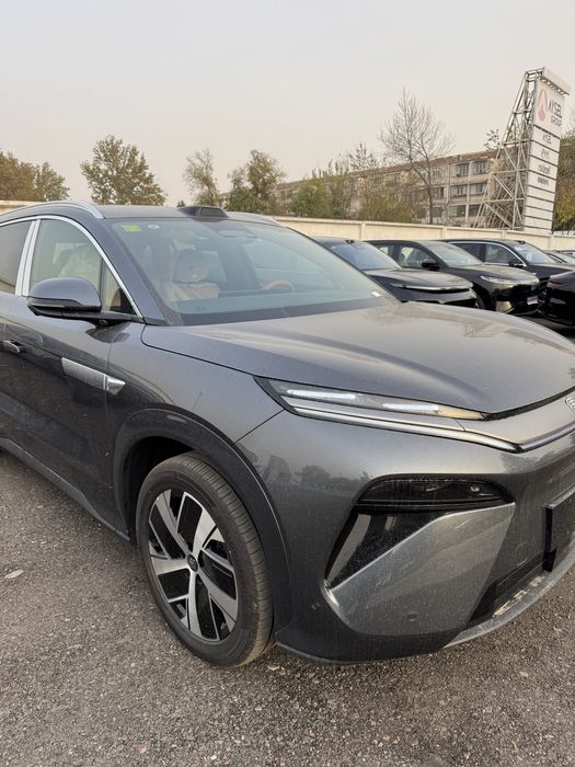 Bivaydi tang L elektr