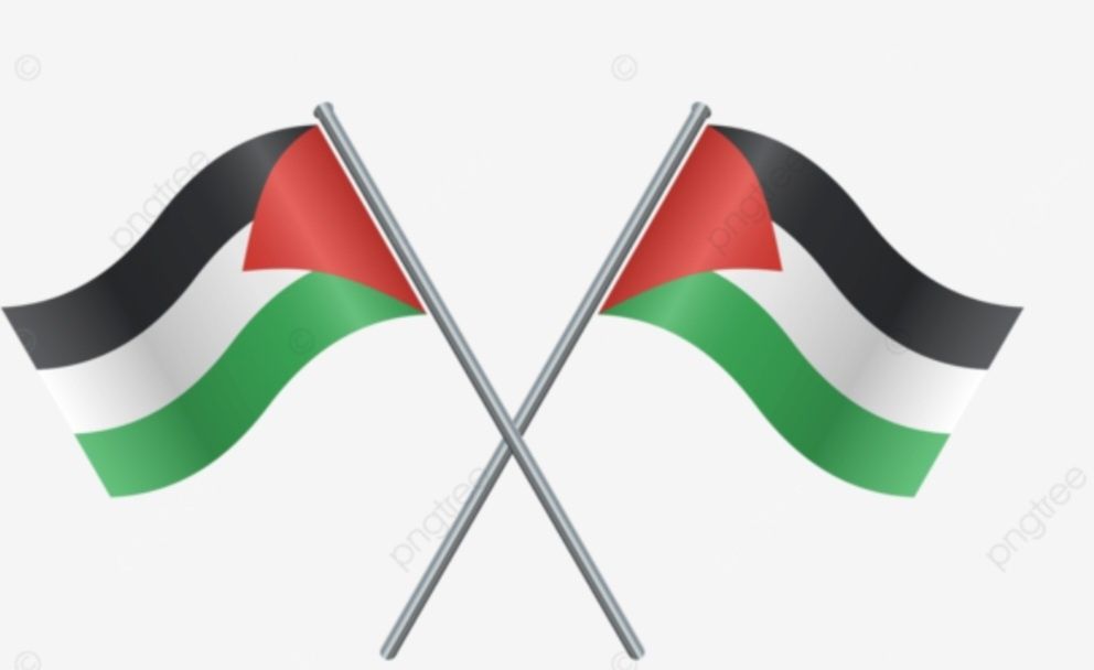 Флаги и флажки Палестины