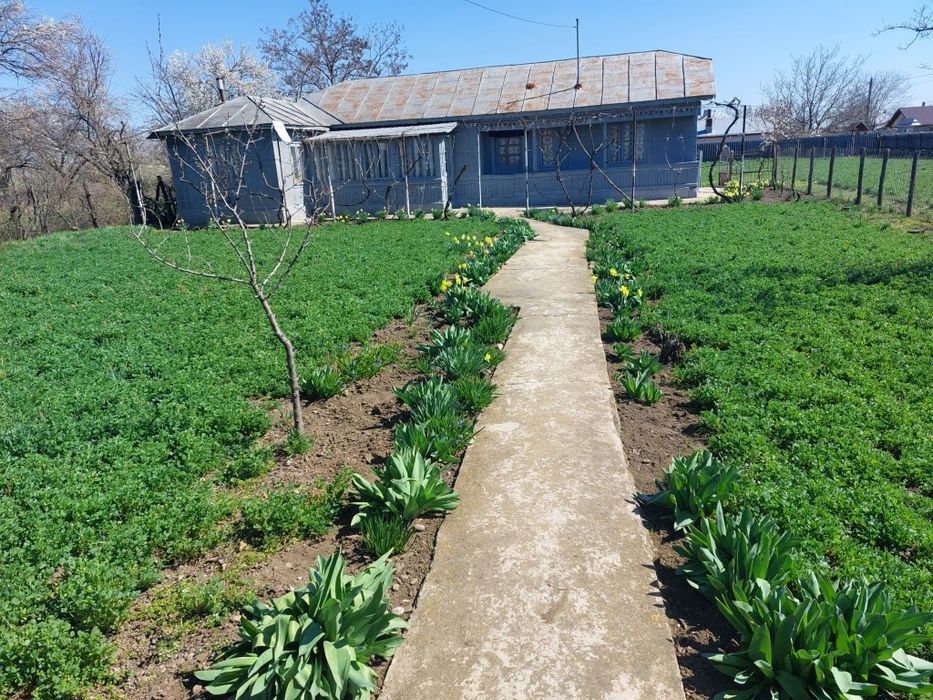 Vânzare casa Sat Lunca, C.A Rosetti