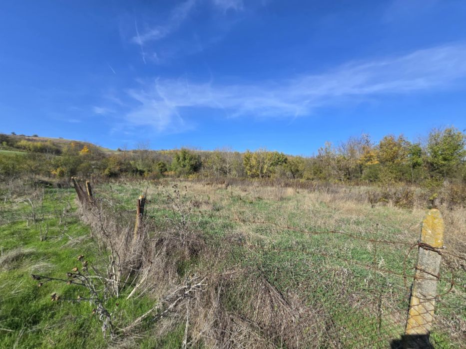 Продава се Парцел в с. Гарван, Област Силистра - 3220 кв.м за 2 €/кв.м - Снимка #7