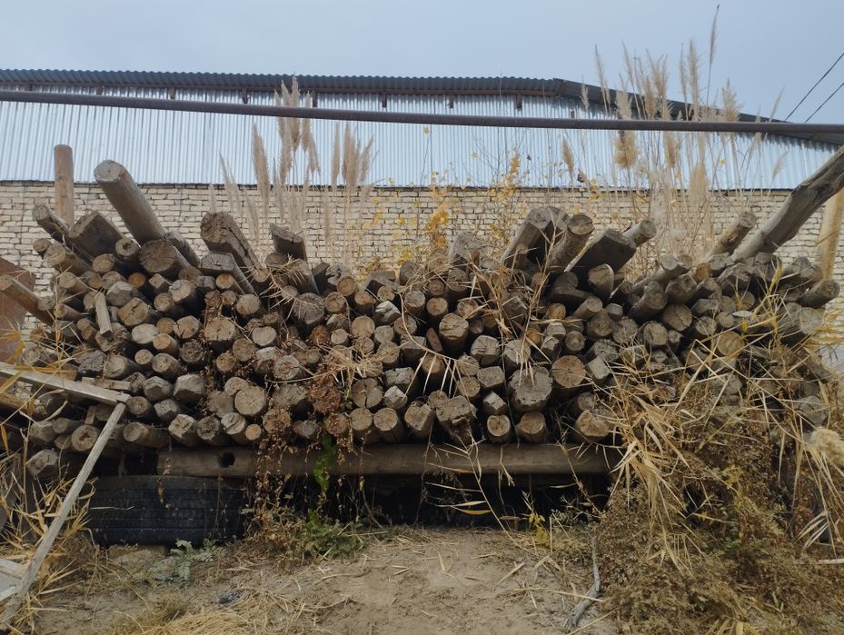 Assalom aleykum qalamalar sotiladi