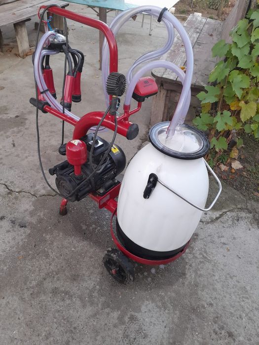 Mulgatoare  in stare functionala