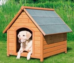 Будка! Деревянный домик для собаки!