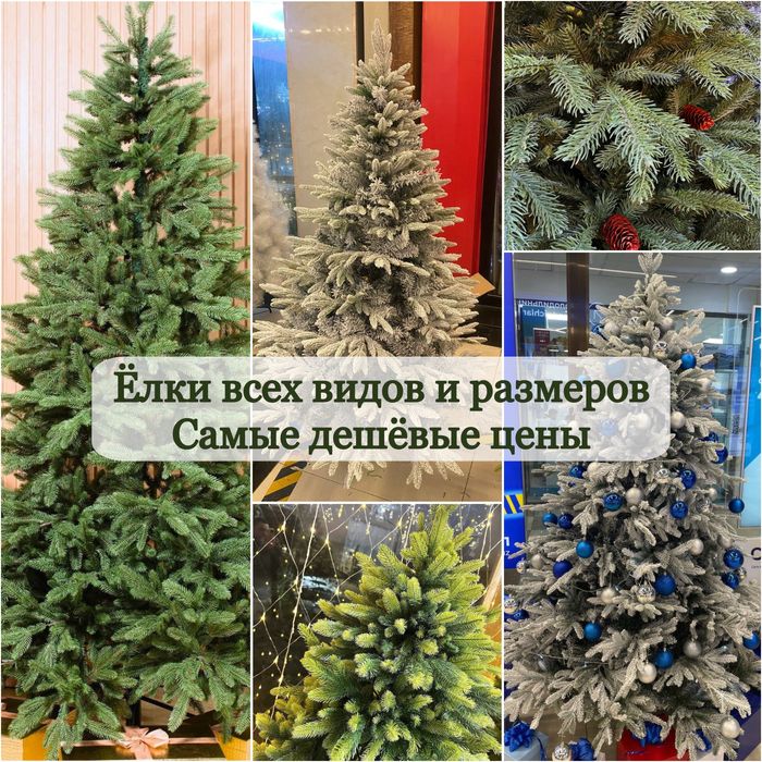 Елка елки зеленые, снежные, с шишками, красной рябиной