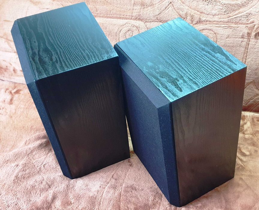 Bose Interaudio 3000XL