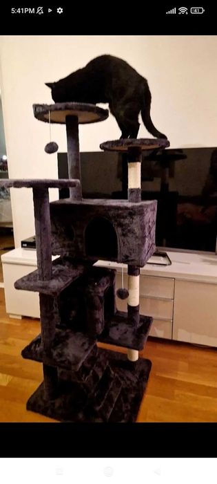 Катерушка и Хранилка за котки с камера