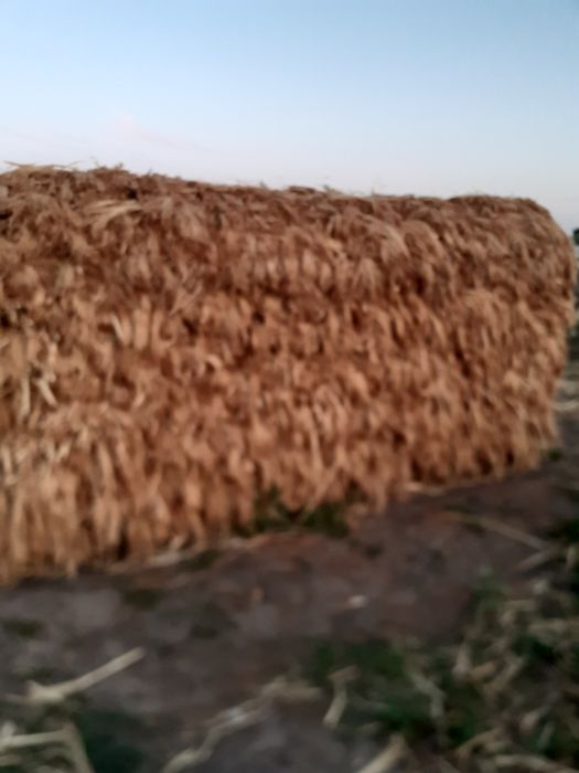 Vând tel pt  mături