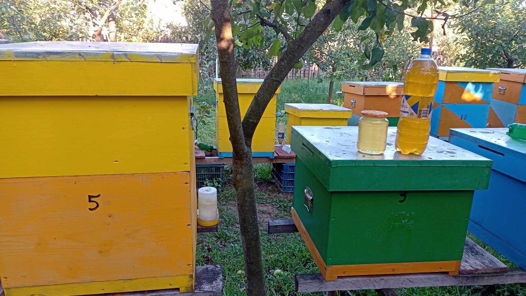 Miere de albine naturală