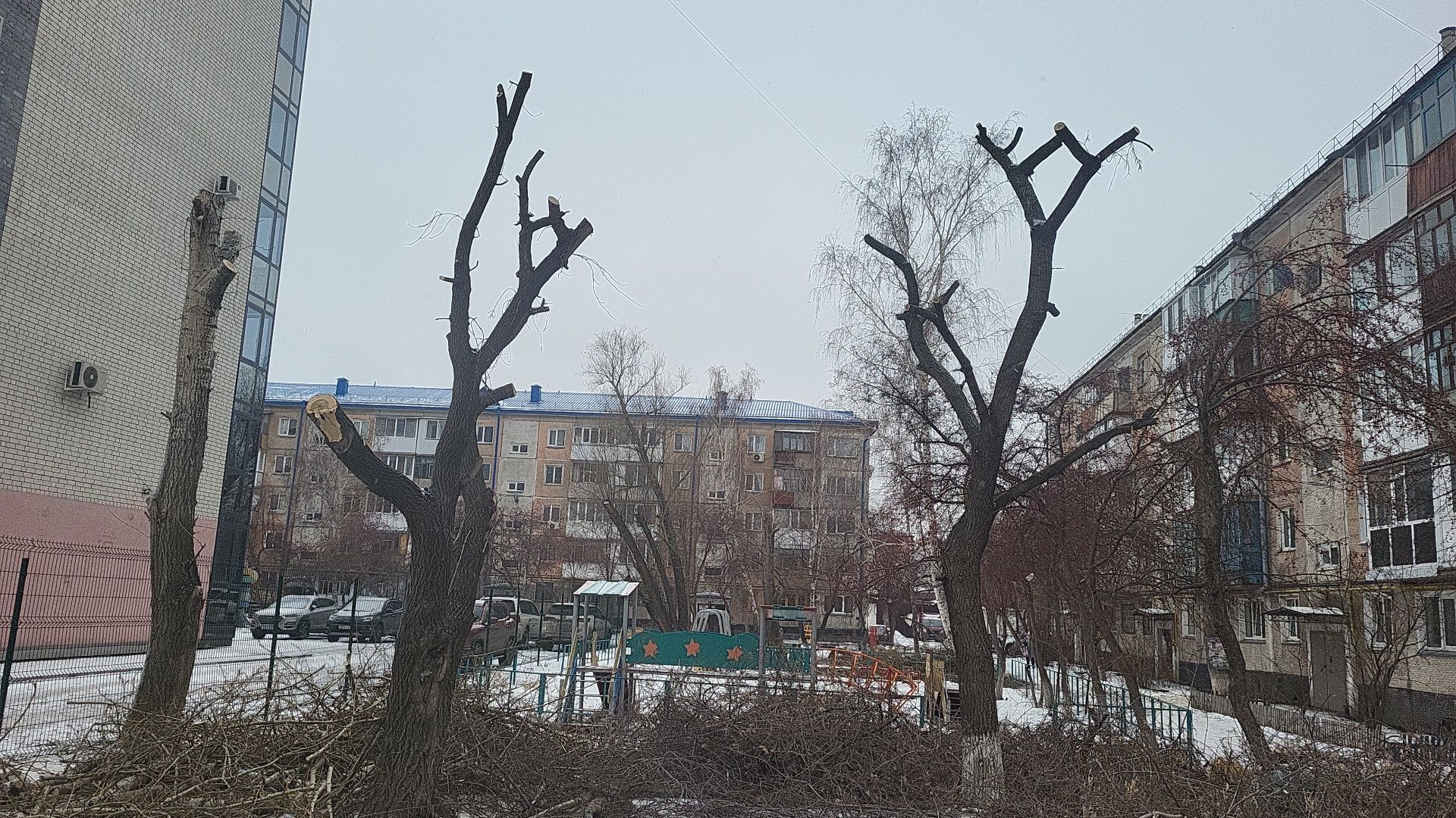 Санитарная обрезка деревьев (кранирование)спил