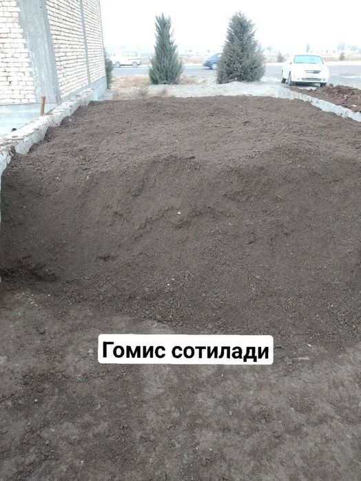 Biogomis arzon va tez