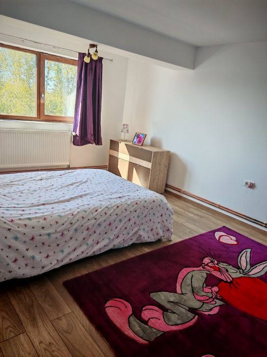 Vila de vanzare la iesire din Craiova