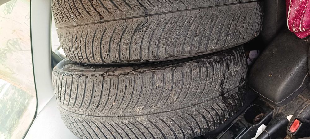 Гуми зимни мишалин