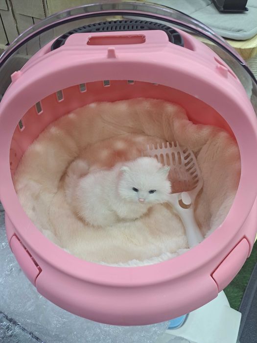 Домик для кошек и собак super domik universal для с лежанкой + рюгзак