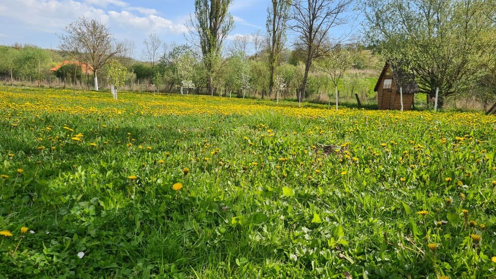 Casa de vanzare in Stejeris