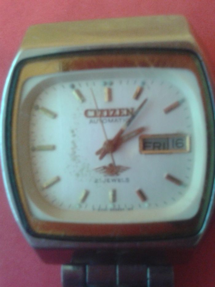 ceas citizen 21 rubine automatic