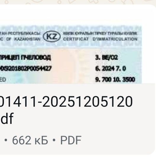 Пчело прицепы  документ сатылады . Багасы 250 000 мын.