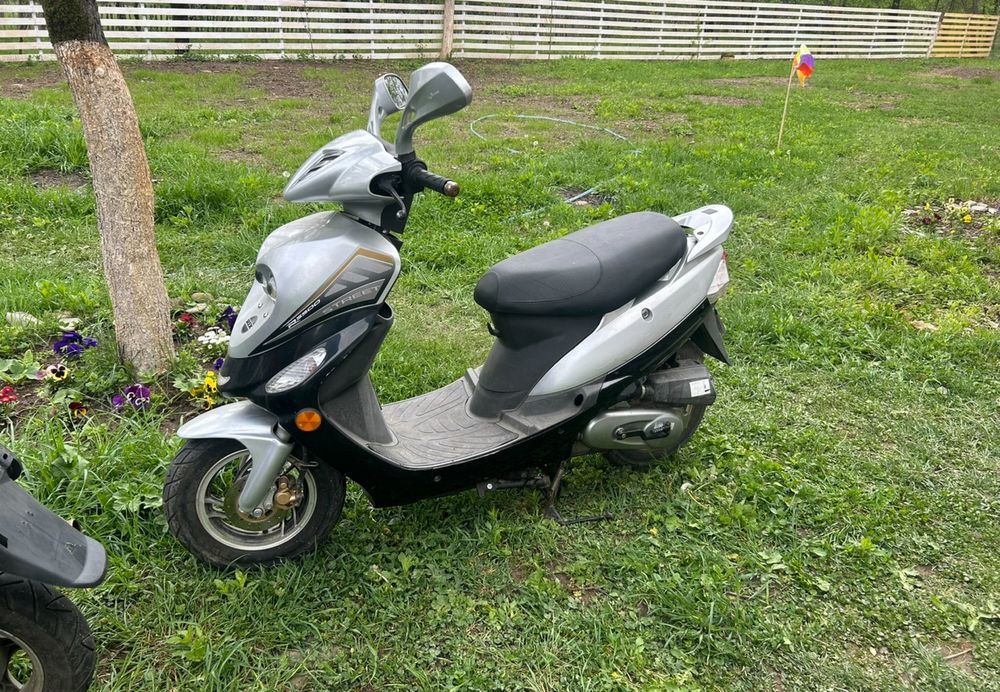 Scuter 49 cm 2 buc