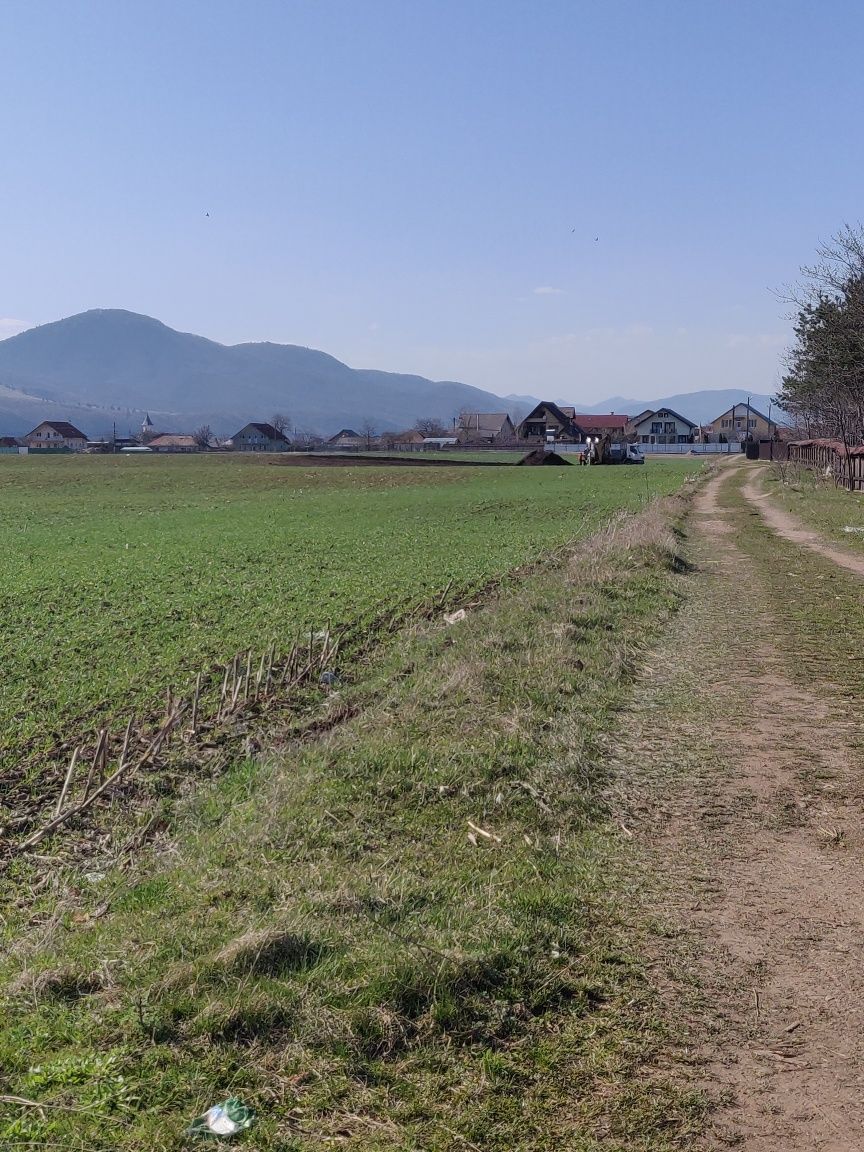 Teren intravilan