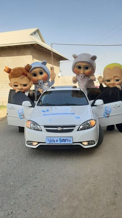 Ayiqchalar arzon sotiladi