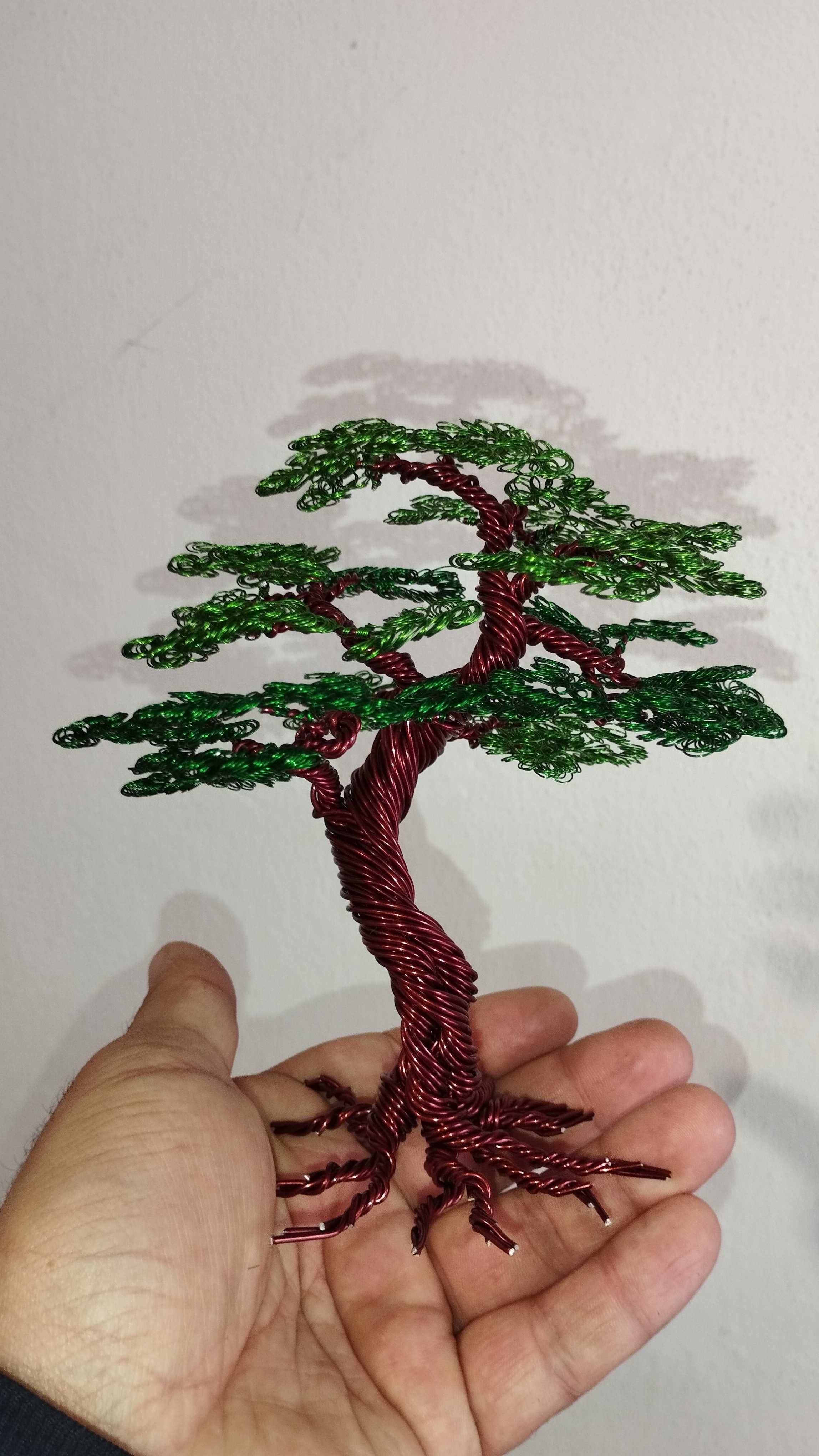 Bonsai stilida suvenir daraxtlar / Деревья Сувениры в стиле Бонсай