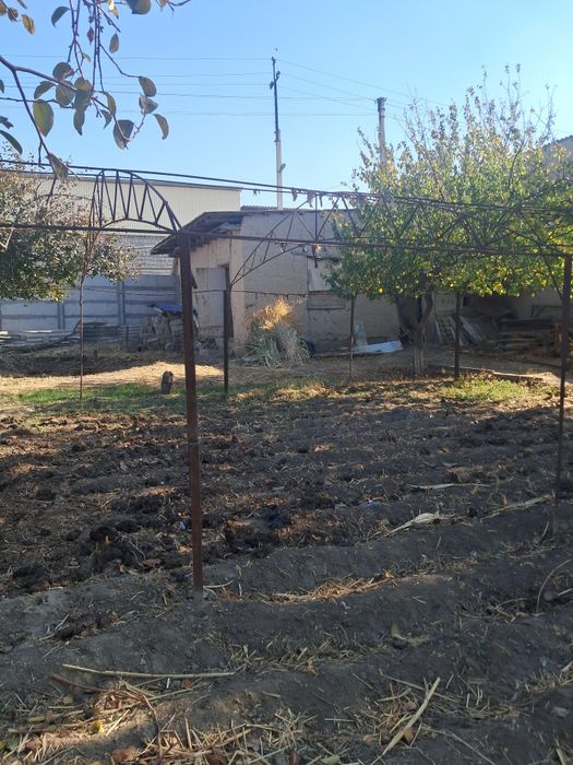 4 sotix Uchaska sotiladi