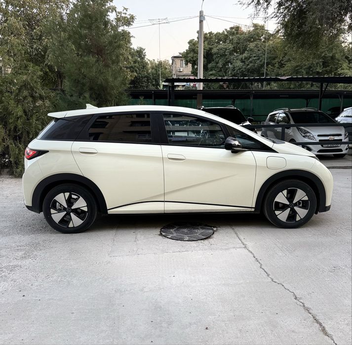 BYD Dolphin 420Km Toza