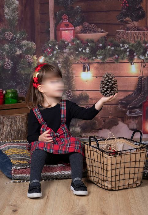 фотографски фонове за студио, коледна тема