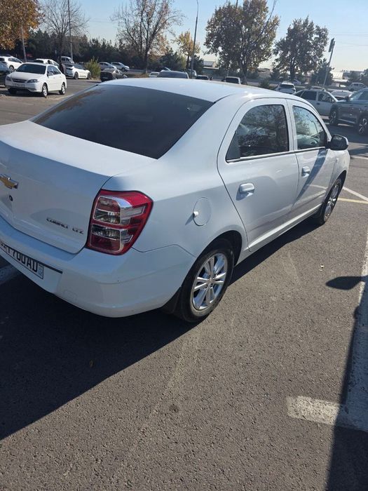 Кобальт/Cobalt 2024