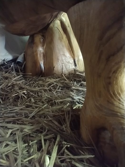 Scaun, sculptură deosebită