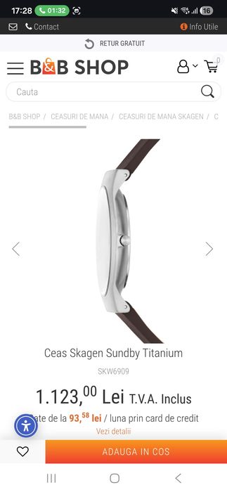 Ceas Skagen Titanium
