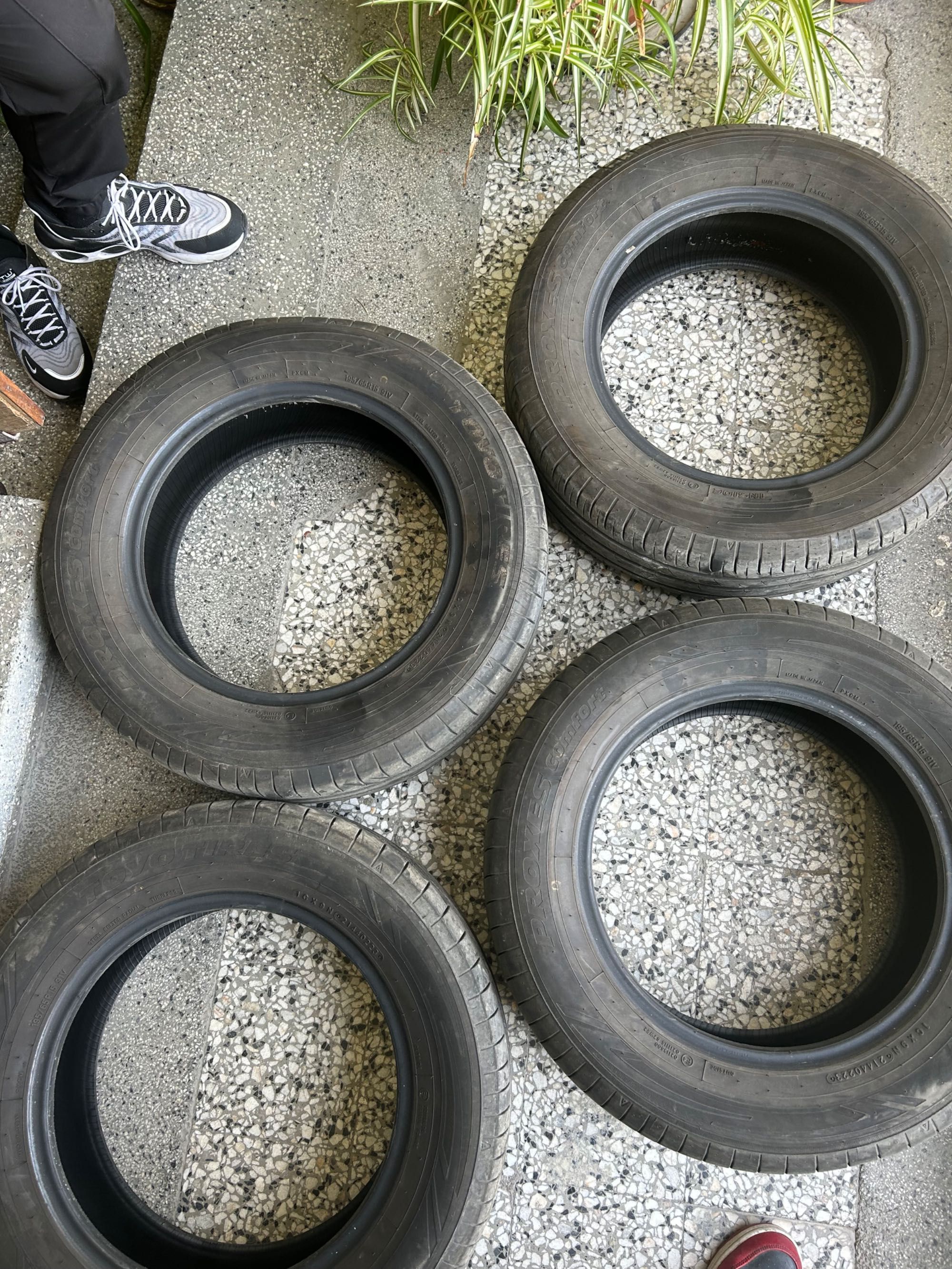 Летни гуми Toyo tires 195/65/15