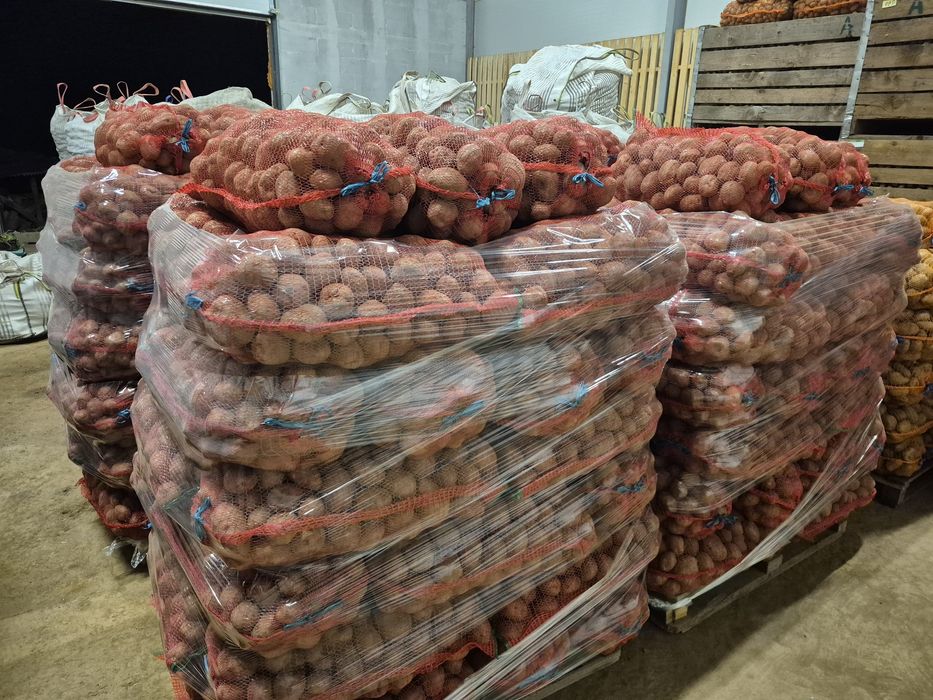 Cartofi consum rosu si alb