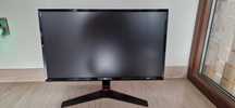 Monitor LG 24" 75hz