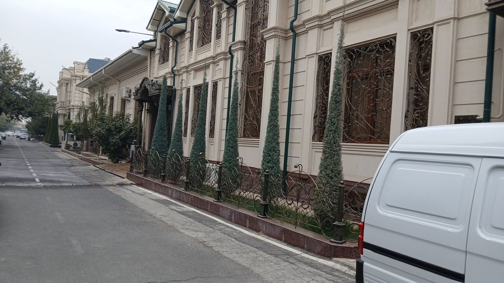 Arizoniskiy kiporis   4.   4 5.  Metr