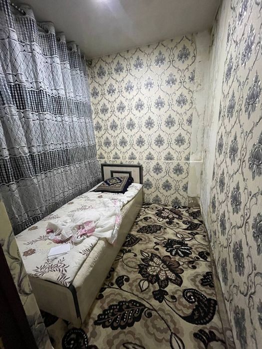Ijaraga sheriklikka 5 6 ta talaba qizlarga