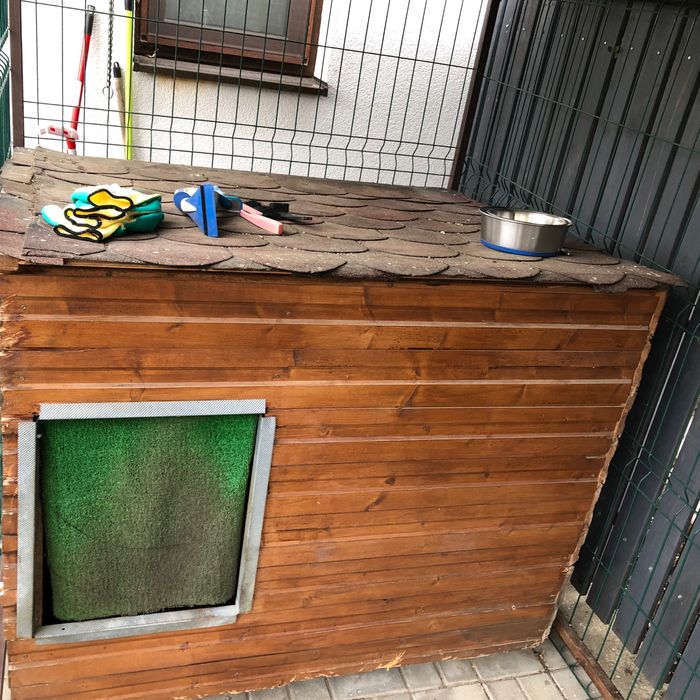 Vand padoc cu cadru din fier forjat