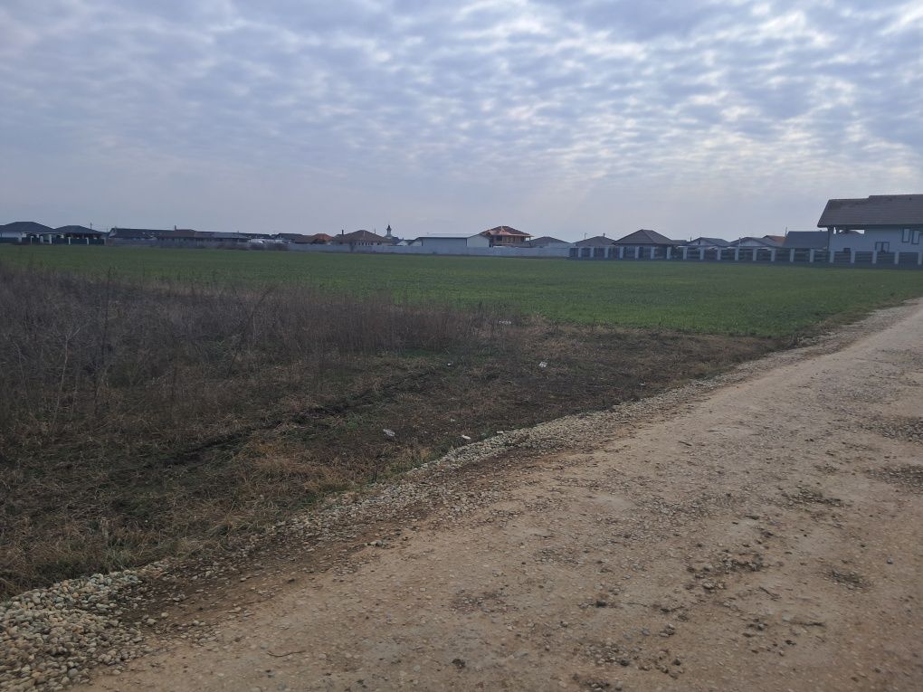 Vând Nojorid teren intravilan  parcela