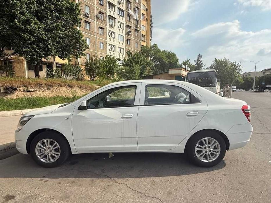 Cobalt STAYL Nataryus Tekin